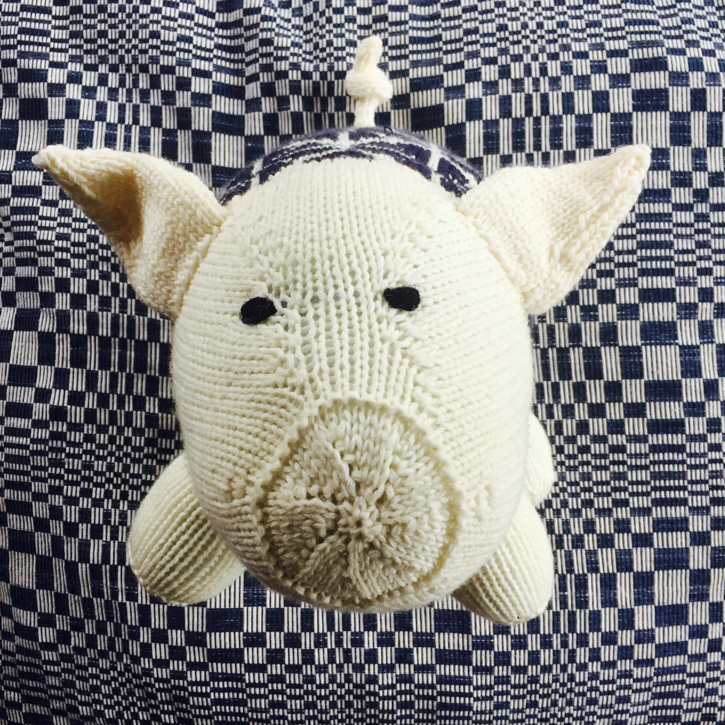 Pig in a Sweater