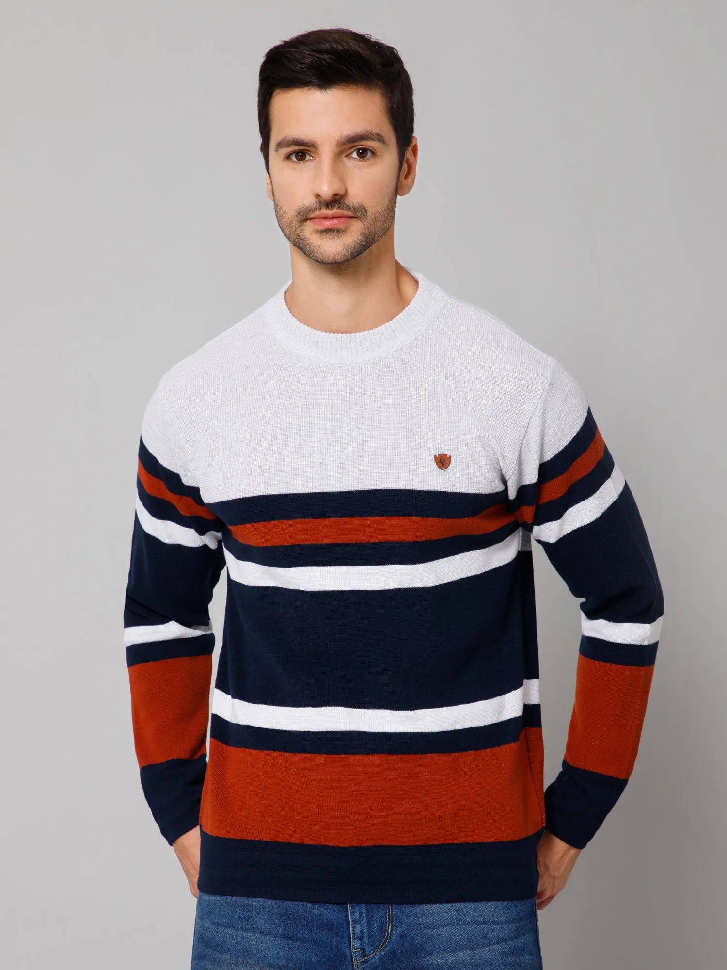 Stripe Rust Full Sleeves Round Neck Regular Fit Casual Sweater for Men